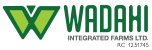 Wadahi